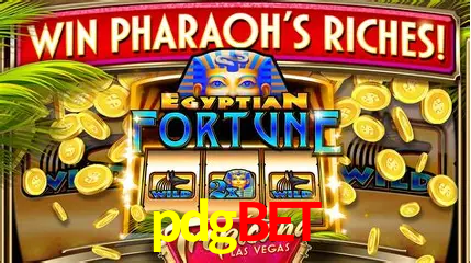 pdgbet Salvador - Statistics