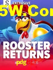 Sports Statistics pdgbet